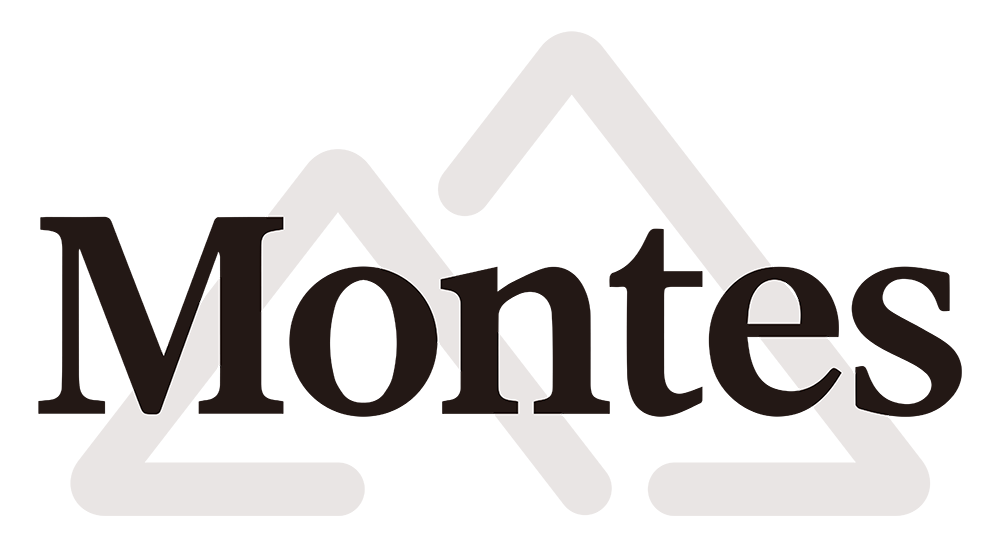 株式会社Montes